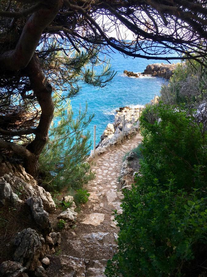 Artistic Antibes Apartment Екстериор снимка
