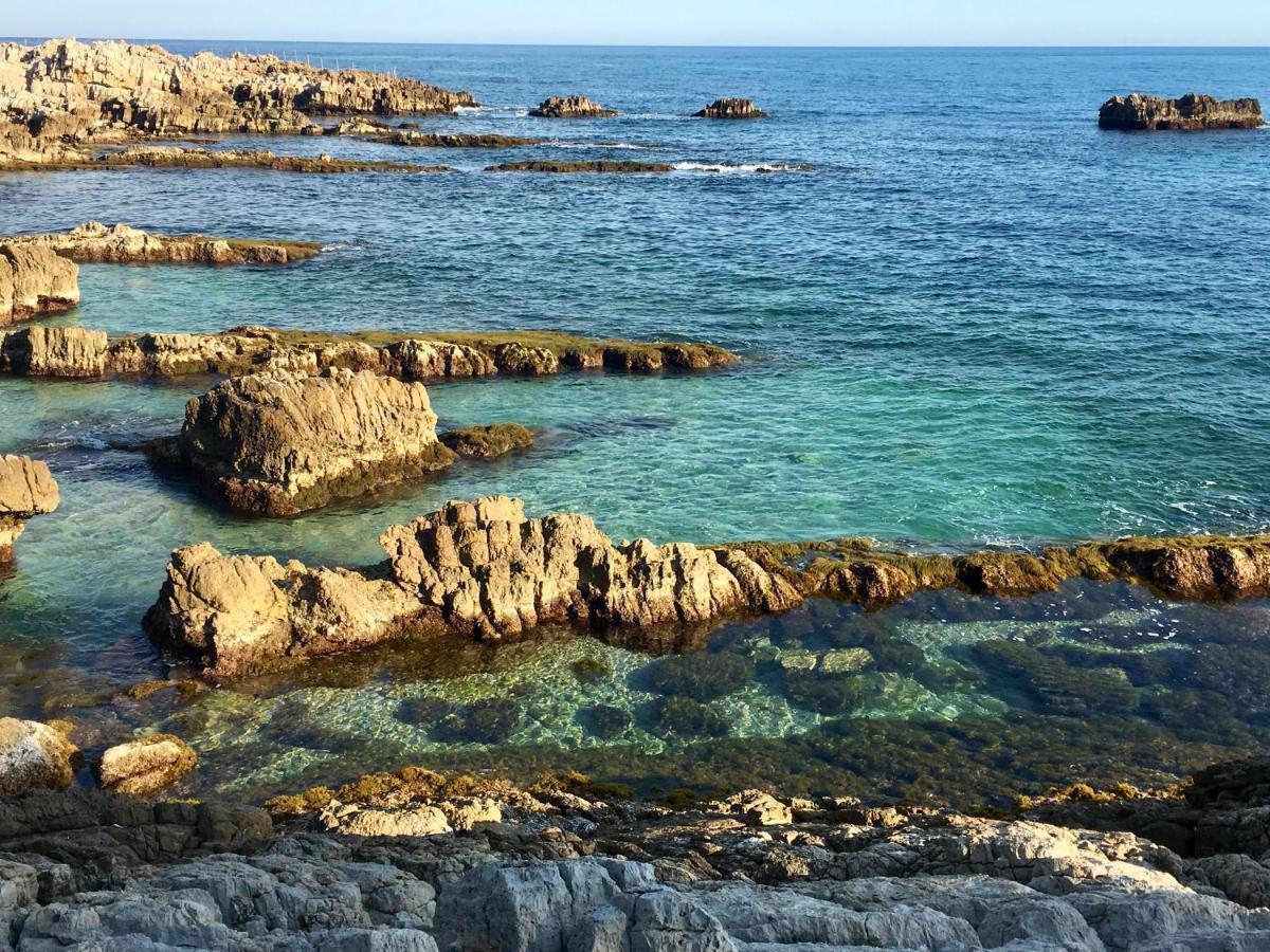 Artistic Antibes Apartment Екстериор снимка